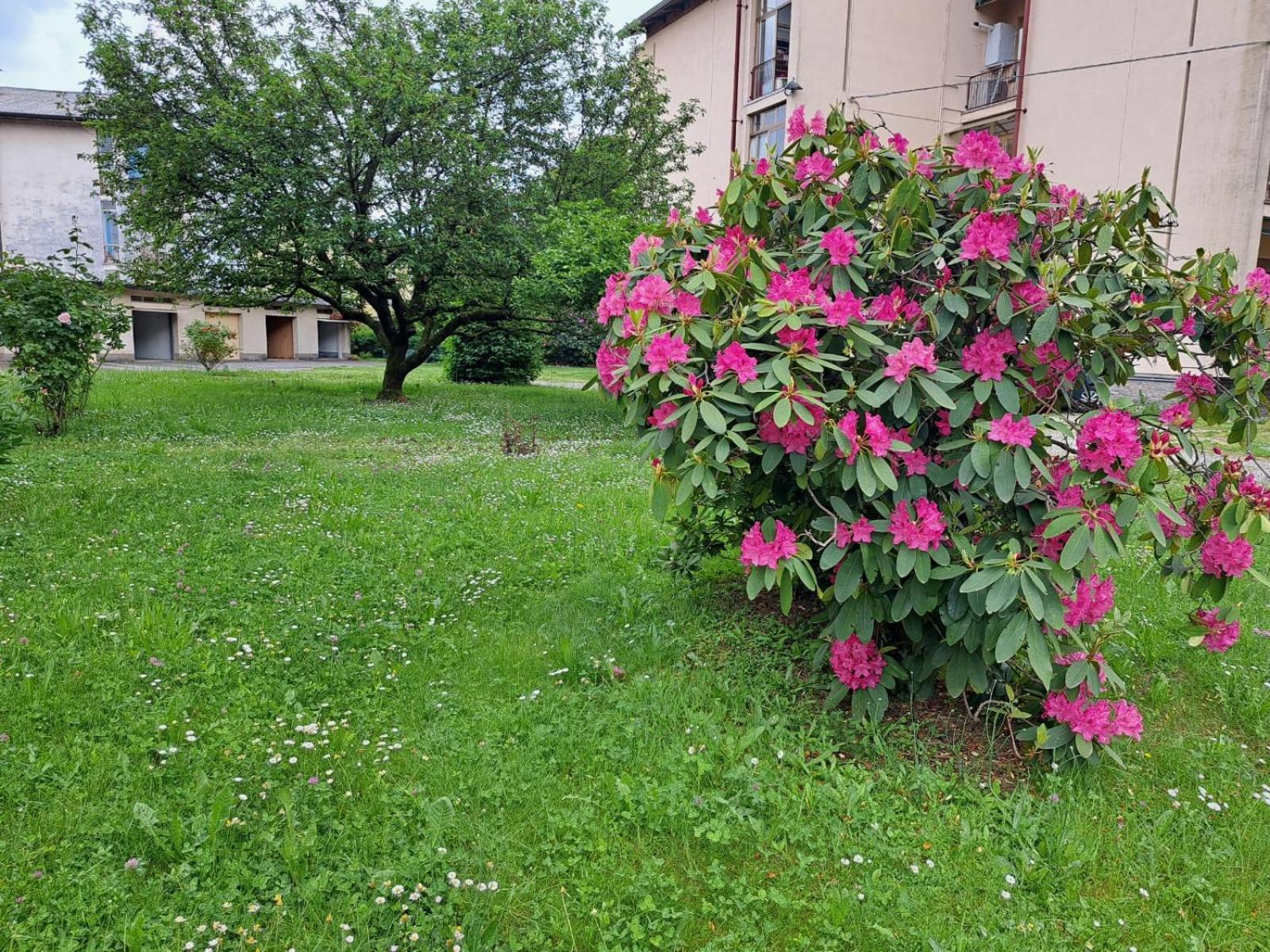 Seraval Valsesia Apartment Serravalle Sesia Buitenkant foto